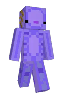skont1004 Minecraft avatar full body