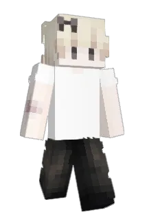 skopice Minecraft avatar full body