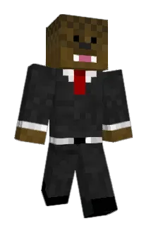 skott80 Minecraft avatar full body