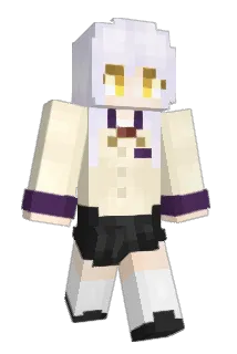 skullleddd Minecraft avatar full body
