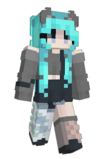 skvt Minecraft avatar full body