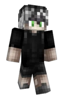 skweenison Minecraft avatar full body