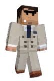 skwub Minecraft avatar full body