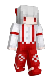 sky6nn Minecraft avatar full body