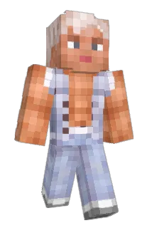 skydelas Minecraft avatar full body