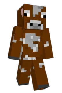 skyeck Minecraft avatar full body