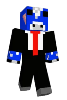 skygamer_0 Minecraft avatar full body