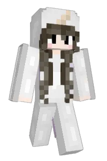 skype100 Minecraft avatar full body