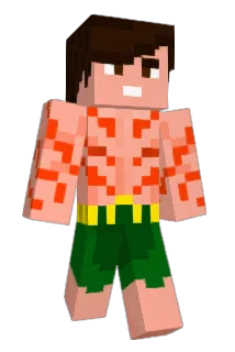 skypro12 Minecraft avatar full body