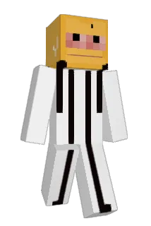 skyqar Minecraft avatar full body