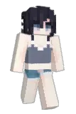 skyrres Minecraft avatar full body