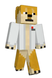skyrrrill Minecraft avatar full body