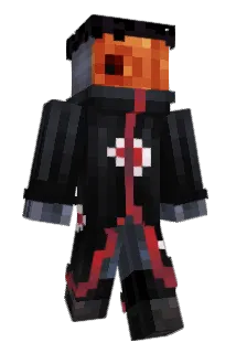 slaaywr Minecraft avatar full body