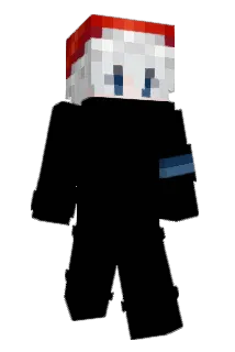 slagw Minecraft avatar full body