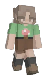 Custom render preview