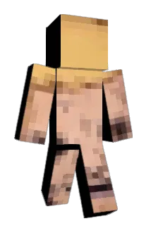 slellsworth Minecraft avatar full body