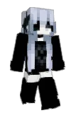 slowquerblinkar Minecraft avatar full body