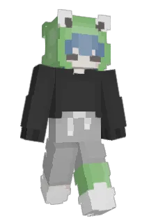 smallcoin Minecraft avatar full body