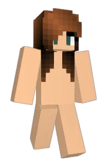 smalldickryan Minecraft avatar full body