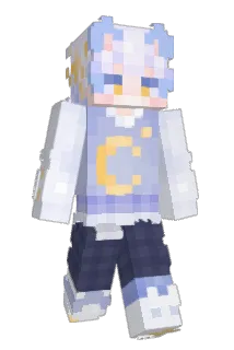 smap22 Minecraft avatar full body