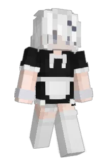 smdds Minecraft avatar full body