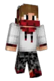 smileforfood Minecraft avatar full body