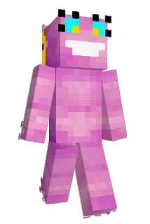 smiles4life Minecraft avatar full body