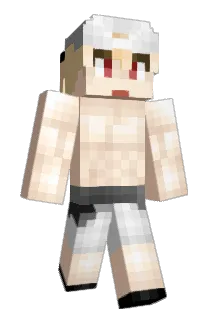 smin1013 Minecraft avatar full body
