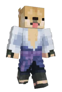 smoopdog12 Minecraft avatar full body
