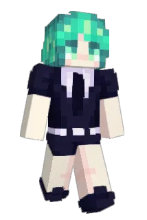 smor53 Minecraft avatar full body