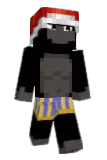 smot9 Minecraft avatar full body
