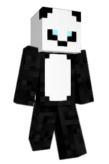 sn1124 Minecraft avatar full body