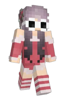 sn6 Minecraft avatar full body