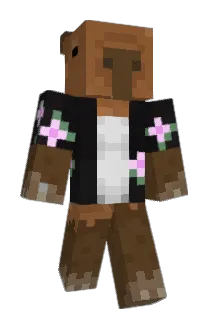 snaccybara Minecraft avatar full body