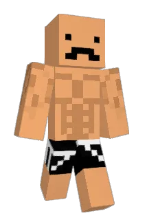 snadderbob Minecraft avatar full body