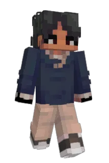 snarinet Minecraft avatar full body