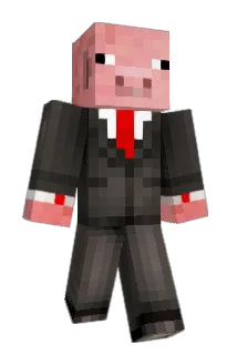 sneakieninja Minecraft avatar full body