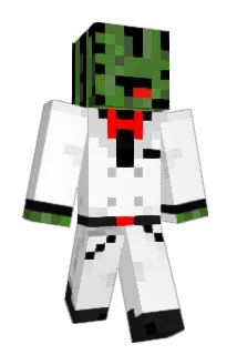 sniarb Minecraft avatar full body