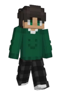 snk1d Minecraft avatar full body