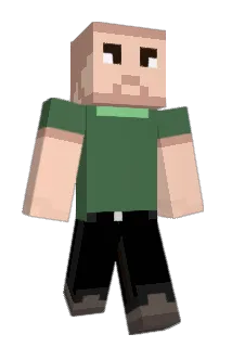 snorkelbottom Minecraft avatar full body