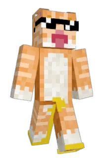 snorklecat Minecraft avatar full body