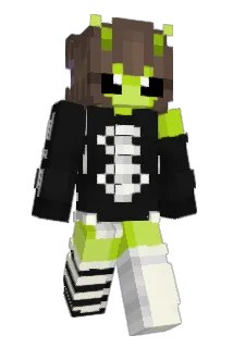 snowballfite Minecraft avatar full body