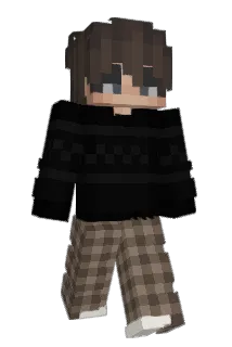 snowfidi Minecraft avatar full body