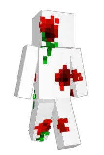 snowhh Minecraft avatar full body
