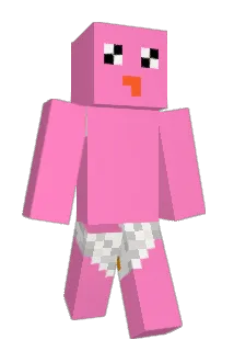 snrndla Minecraft avatar full body