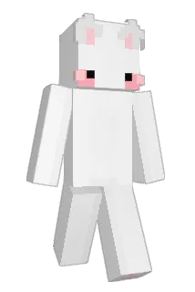 snugbug000 Minecraft avatar full body