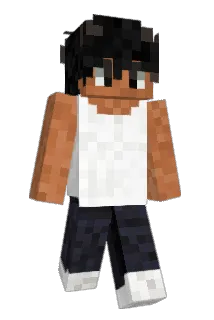 snw_ Minecraft avatar full body