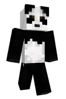 so2943 Minecraft avatar full body