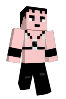 sobakas Minecraft avatar full body