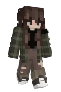 sockck Minecraft avatar full body